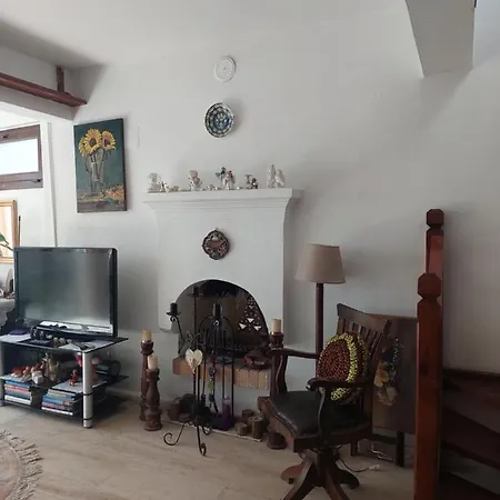 Merkez Bahceli, Avlulu Ev *
